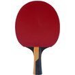Paleta BUTTERFLY tenis de masa Timo Boll CARBON maner concav