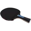 Paleta BUTTERFLY tenis de masa Dimitrij Ovtcharov SAPPHIRE, maner concav