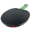 Paleta BUTTERFLY tenis de masa Timo Boll SMARAGD maner anatomic