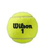 Set mingi tenis Wilson Roland Garros Clay, Official, zgura 4 mingi/cutie