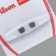 Amortizoare vibratii rachete, Wilson Shock Trap
