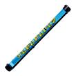 Wilson MINIONS BALL Tube Blue