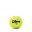 Set mingi tenis Wilson Championship, 3 bucati