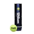 Bax mingi tenis Wilson Roland Garros All Court, 72 mingi