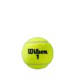Set mingi tenis Wilson Roland Garros All Court, 4 bucati
