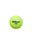 Set mingi tenis Wilson Tour Premier All Court, 4 mingi set