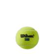 Set mingi tenis Wilson Tour Premier All Court, 4 mingi set