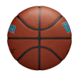Minge baschet Wilson NBA Team Alliance Charlotte Hornets, marime 7