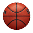 Minge baschet Wilson JR NBA Authentic Indoor Outdoor