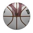 Minge baschet Wilson NBA Team City Collector 2024 Boston Celtics marime 7