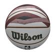 Minge baschet Wilson NBA Team City Collector 2024 Boston Celtics marime 7