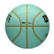 Minge baschet Wilson NBA TEAM CITY COLLECTOR CHAR HOR