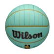 Minge baschet Wilson NBA TEAM CITY COLLECTOR CHAR HOR