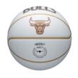 Minge baschet Wilson NBA TEAM CITY COLLECTOR CHI BULL