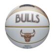 Minge baschet Wilson NBA TEAM CITY COLLECTOR CHI BULL
