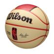 Minge baschet Wilson NBA TEAM CITY COLLECTOR DET PIST