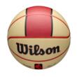 Minge baschet Wilson NBA TEAM CITY COLLECTOR DET PIST