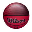 Minge baschet Wilson NBA TEAM CITY COLLECTOR MIA HEAT