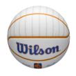 Minge baschet Wilson NBA TEAM CITY COLLECTOR NY KNICK