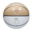 Minge baschet Wilson NBA TEAM CITY EDITION CHI BULL