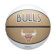 Minge baschet Wilson NBA TEAM CITY EDITION CHI BULL