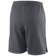 Pantaloni scurti, Wilson Core Knit, baieti, gri