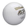 Minge volei Wilson Mr. Wilson (Cast Away)