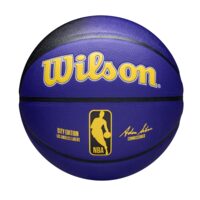 Minge baschet Wilson NBA TEAM CITY COLLECTOR LA LAKER