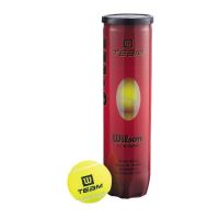 Set mingi tenis Wilson Team  Practice, 4 bucati